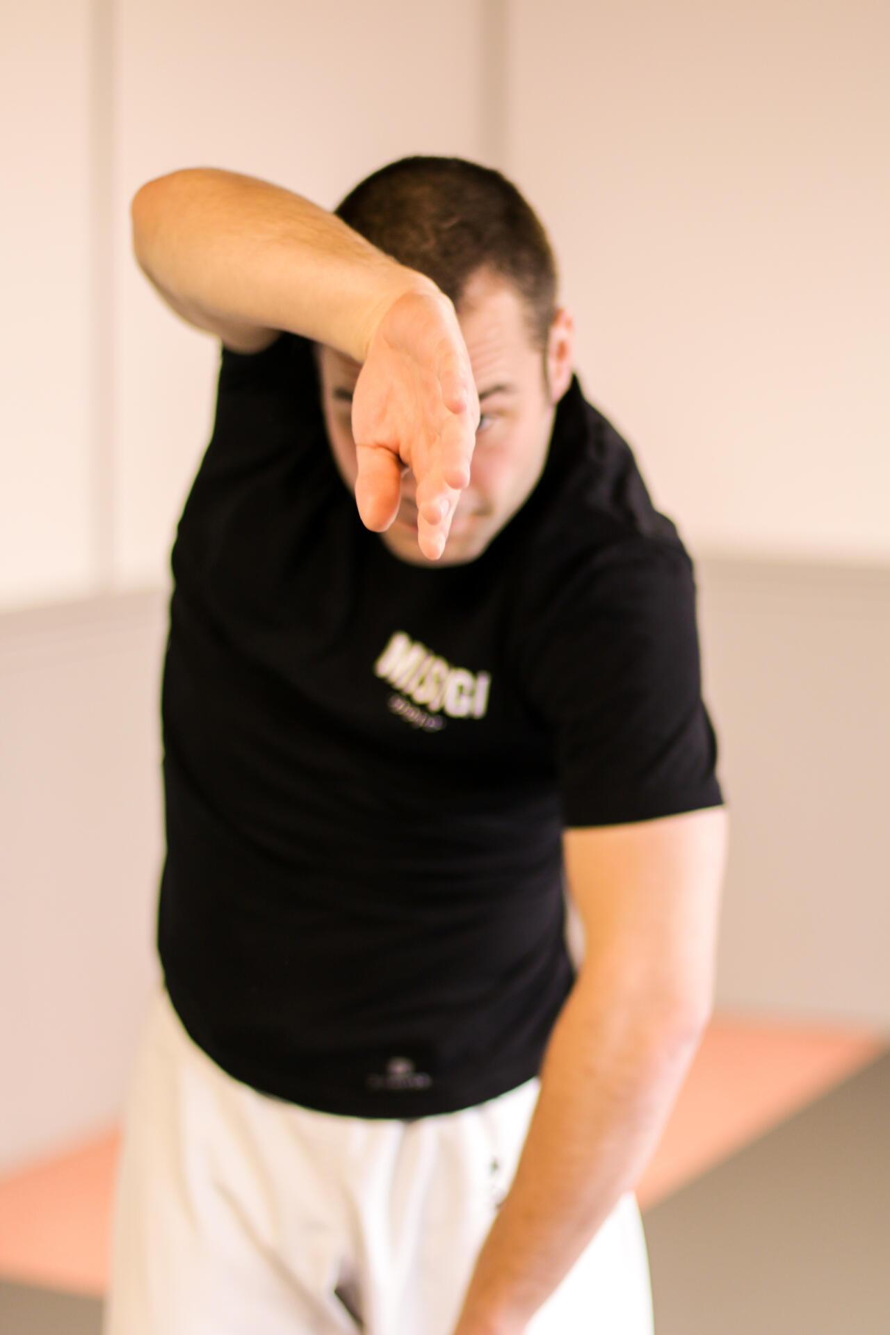 Mouvement 2 de tanren par Tanguy Le Vourc'h