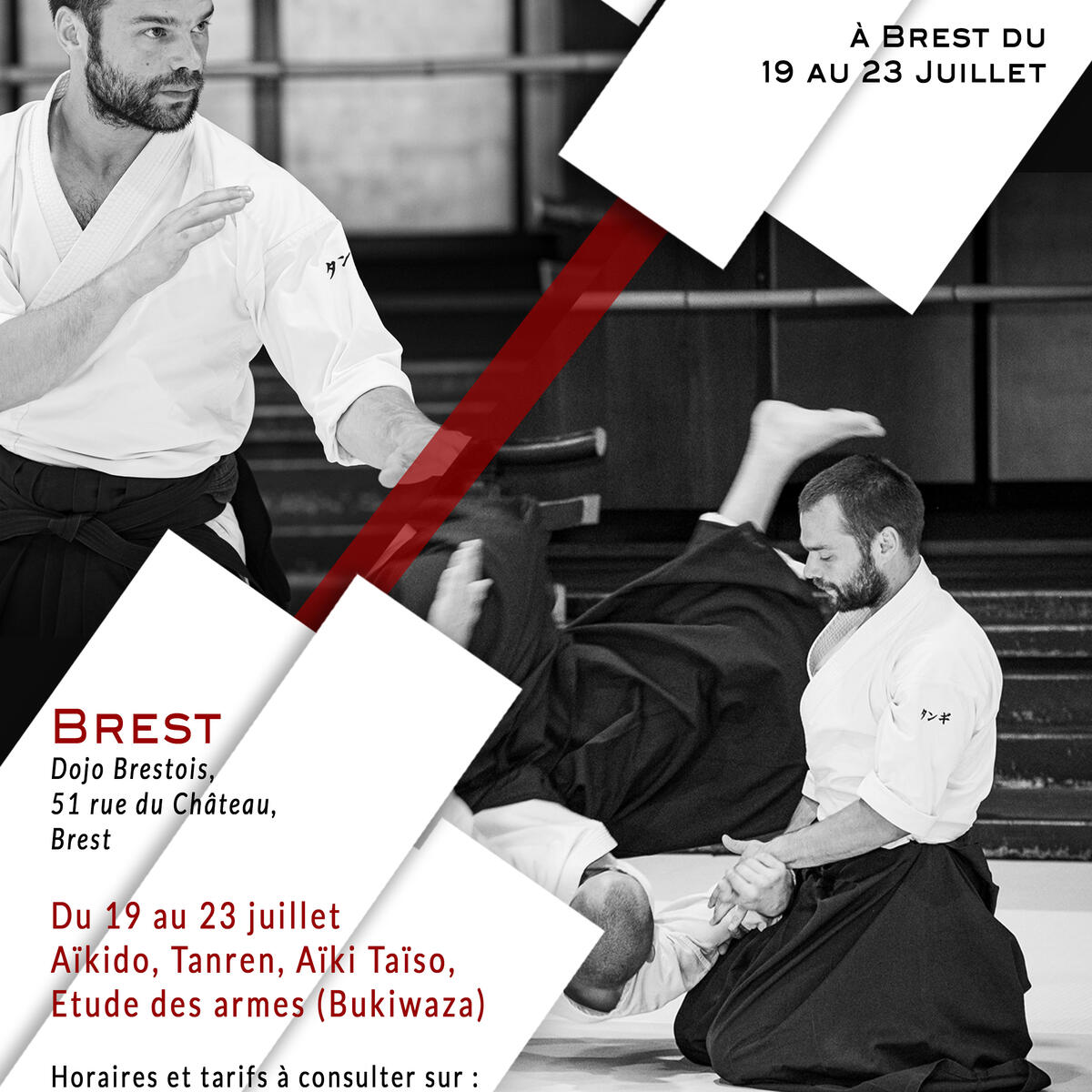 Affiche du stage intensif d'aïkido à Brest animé par Tanguy Le Vourc'h