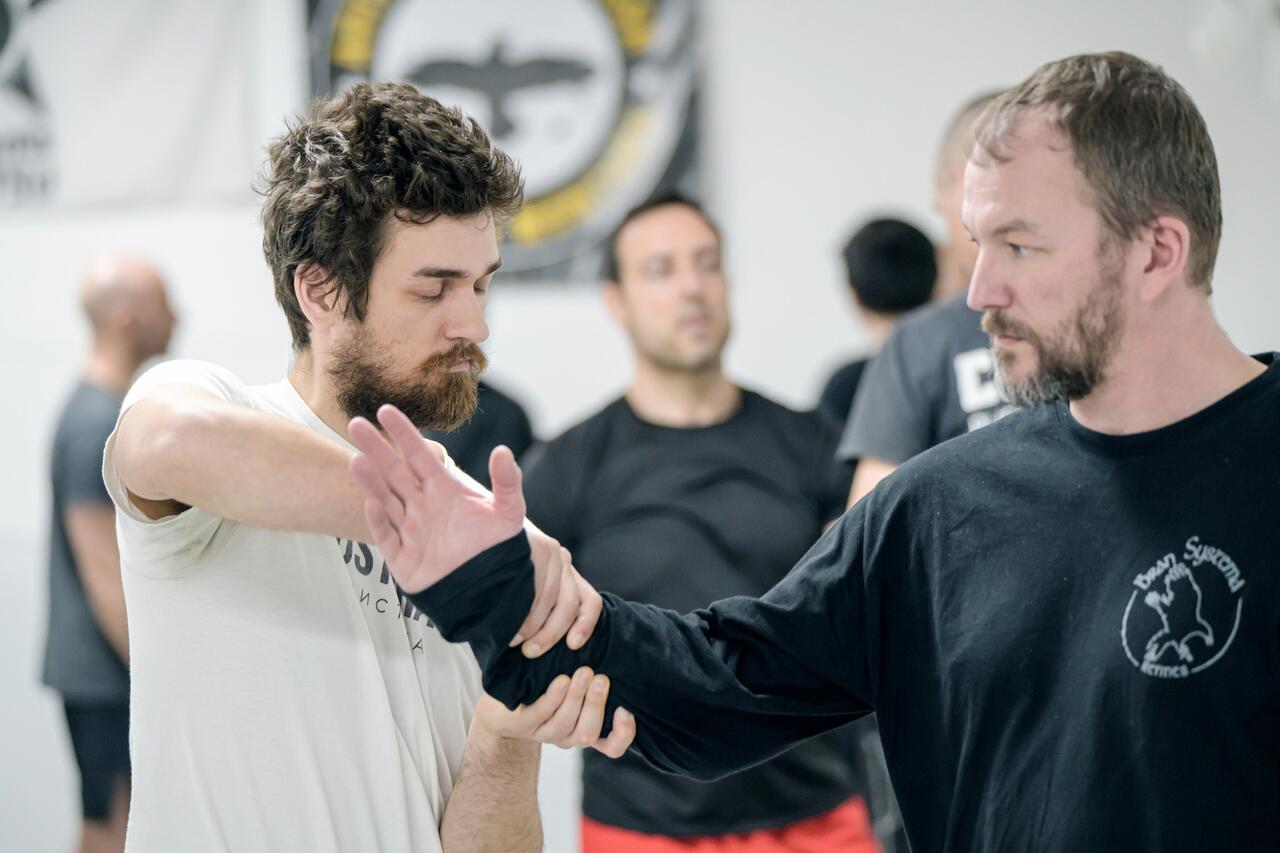 Sytema à Brest avec Benoit Hauray - Dojo Brestois
