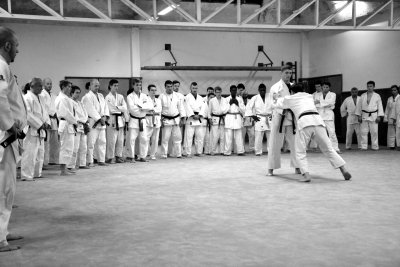 Cours de judo adulte au dojo Brestois